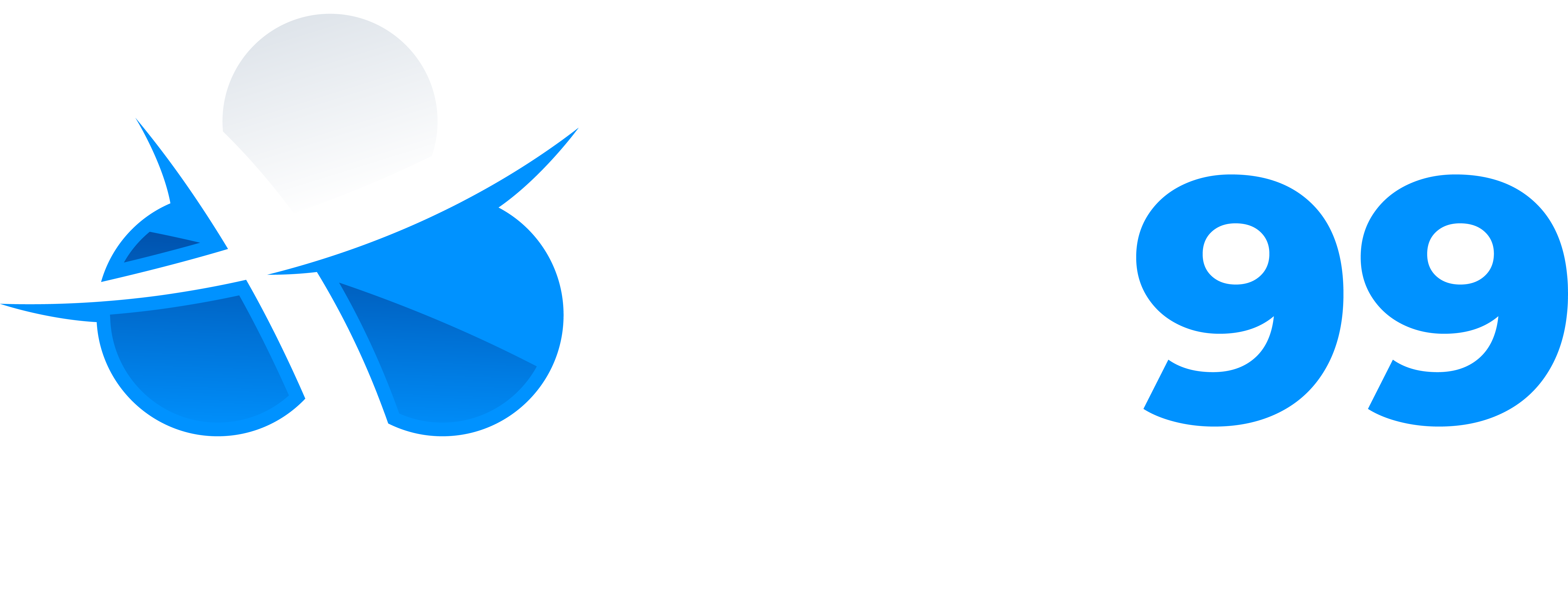 Site Banner